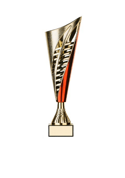 https://diondreovertonfoundation.org/wp-content/uploads/2022/11/trophy_05.png