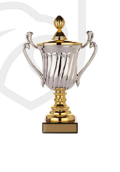 https://diondreovertonfoundation.org/wp-content/uploads/2022/11/trophy_overlay_02.jpg