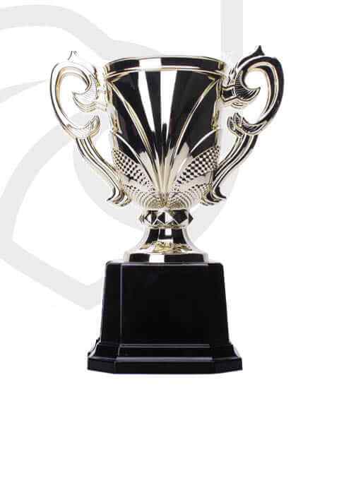 https://diondreovertonfoundation.org/wp-content/uploads/2022/11/trophy_overlay_04.jpg